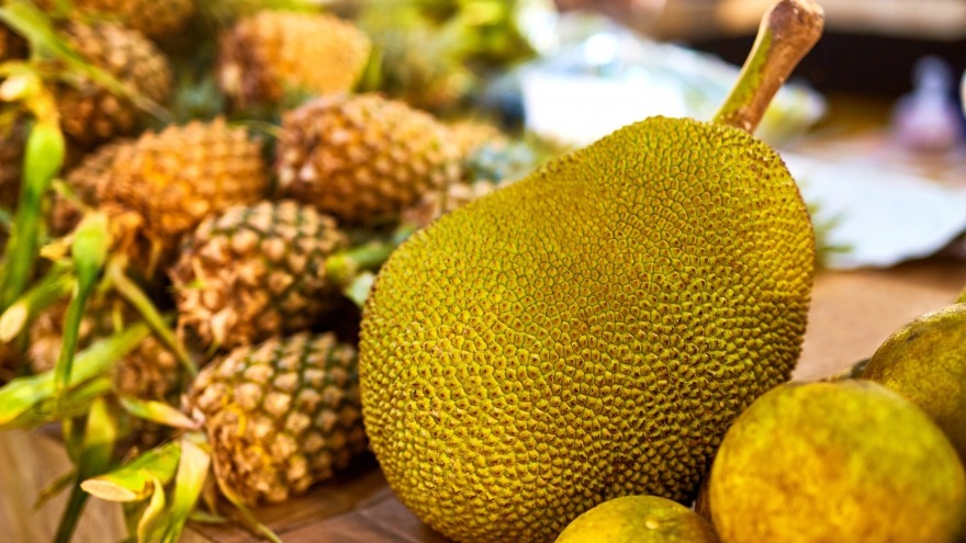 Exotische Jackfrucht und Ananas Jackfrucht und Ananas